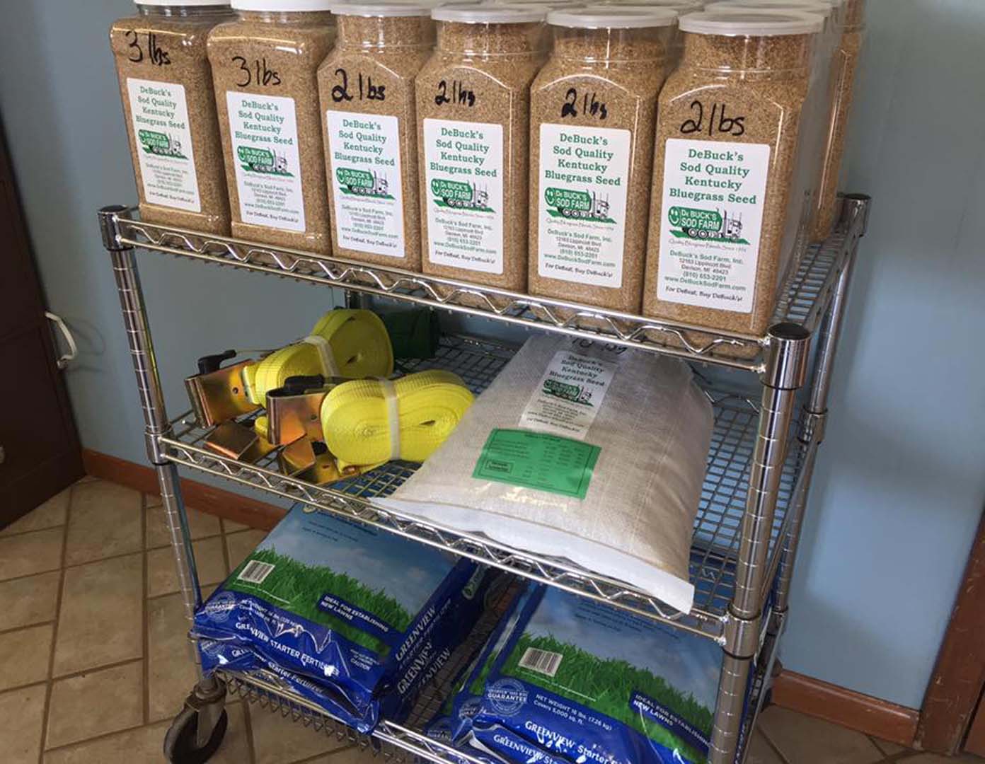 Sod Quality Seed