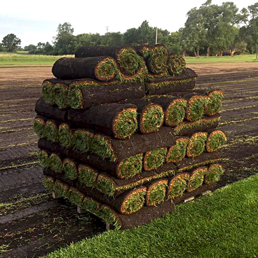 Order Sod Online Pallet Of Kentucky Bluegrass Debucks Sod Farm Mi