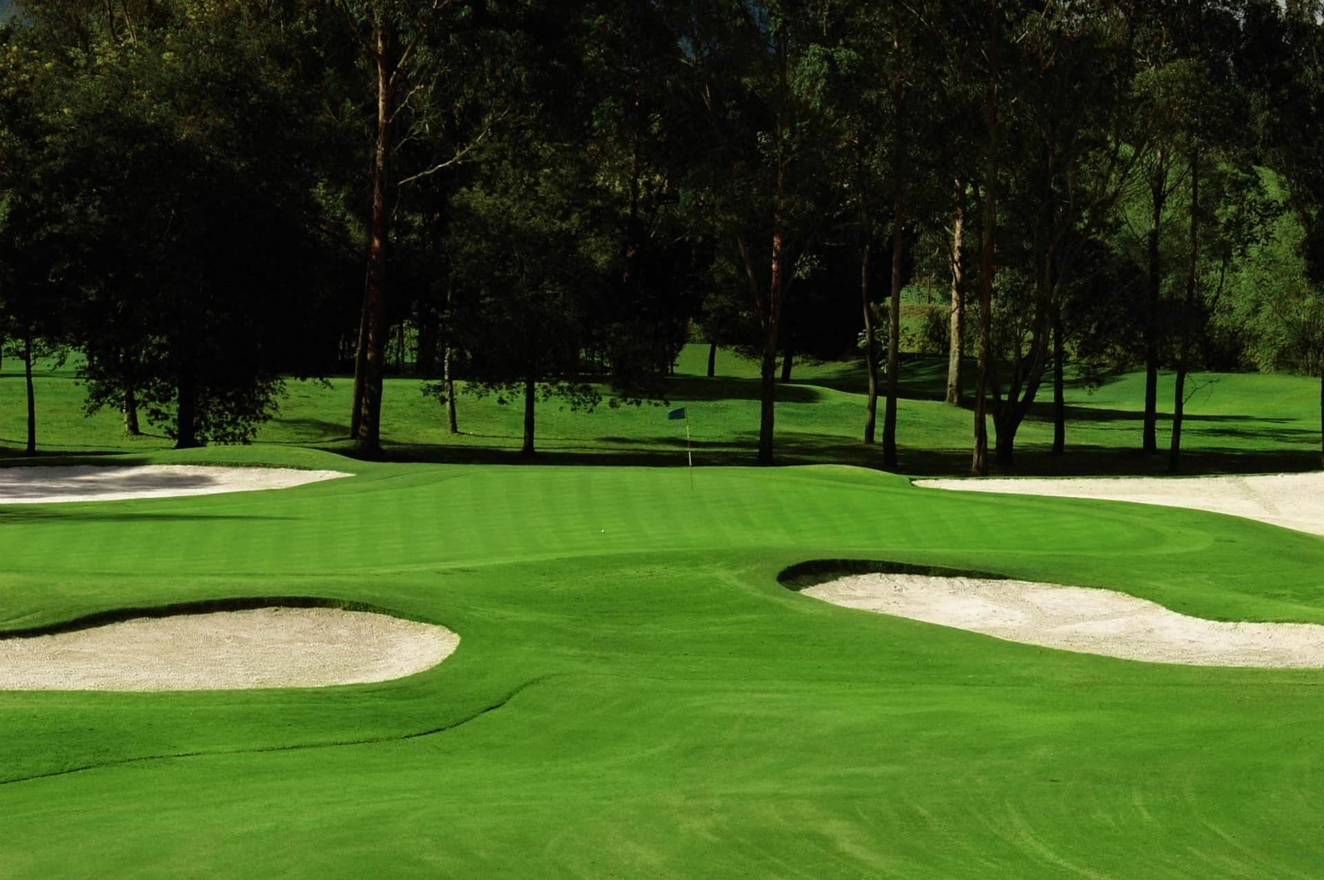 Sod for Golf Courses Michigan