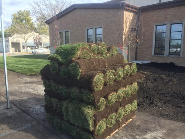 Tall Fescue Pallet