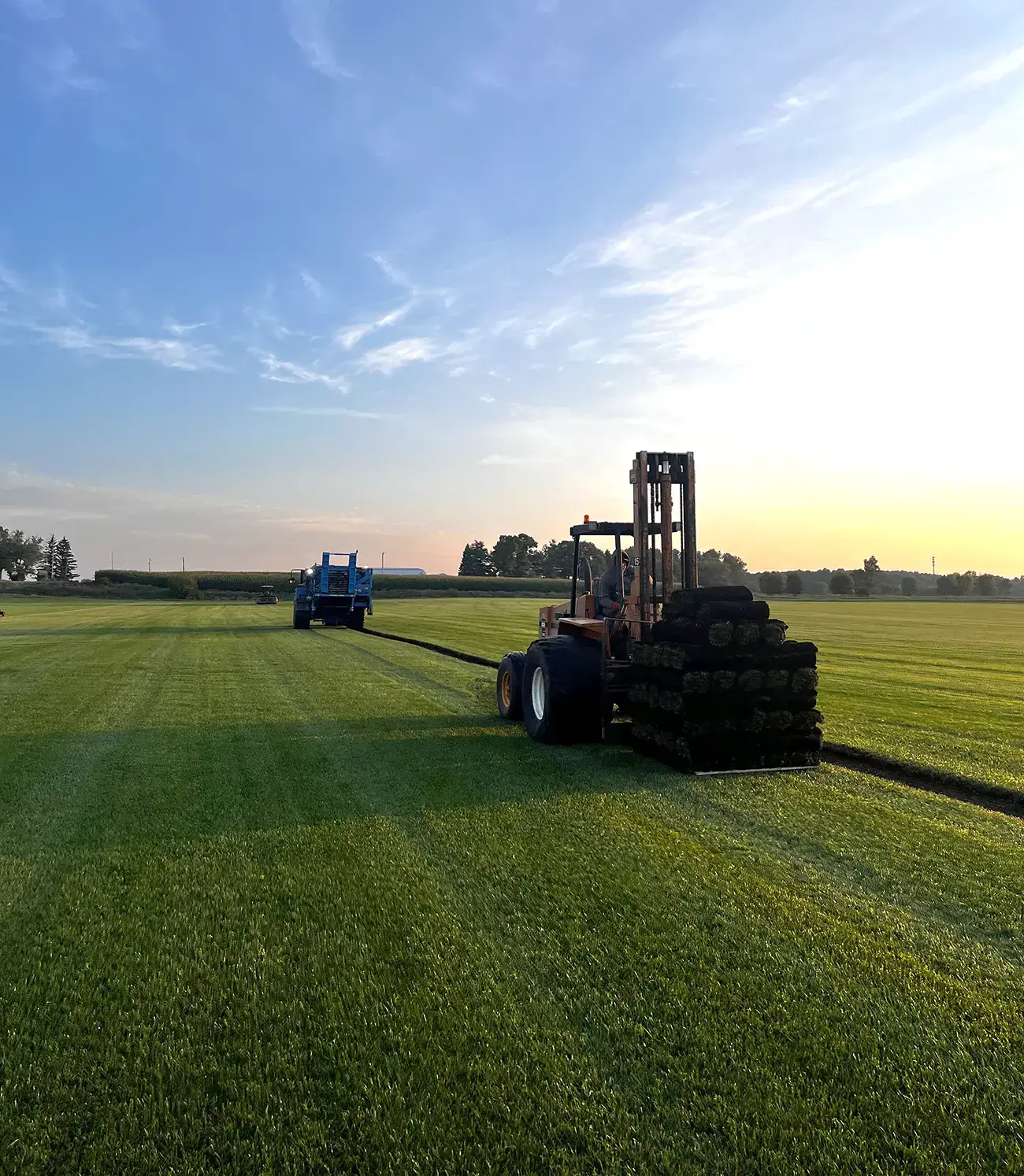 Growing and Harvesting Sod For Your Lawn or Property