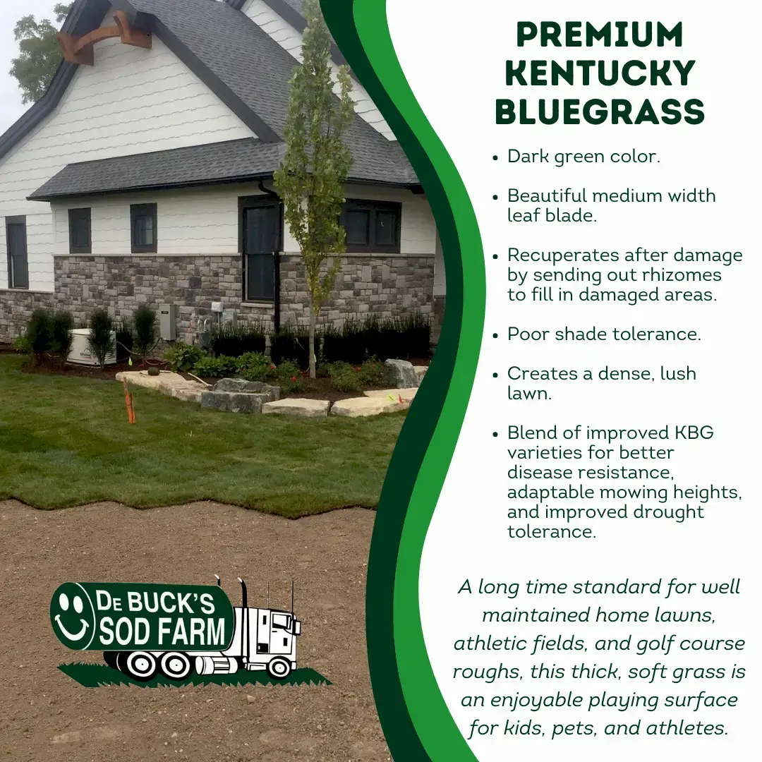 Kentucky Blue Grass Infographic