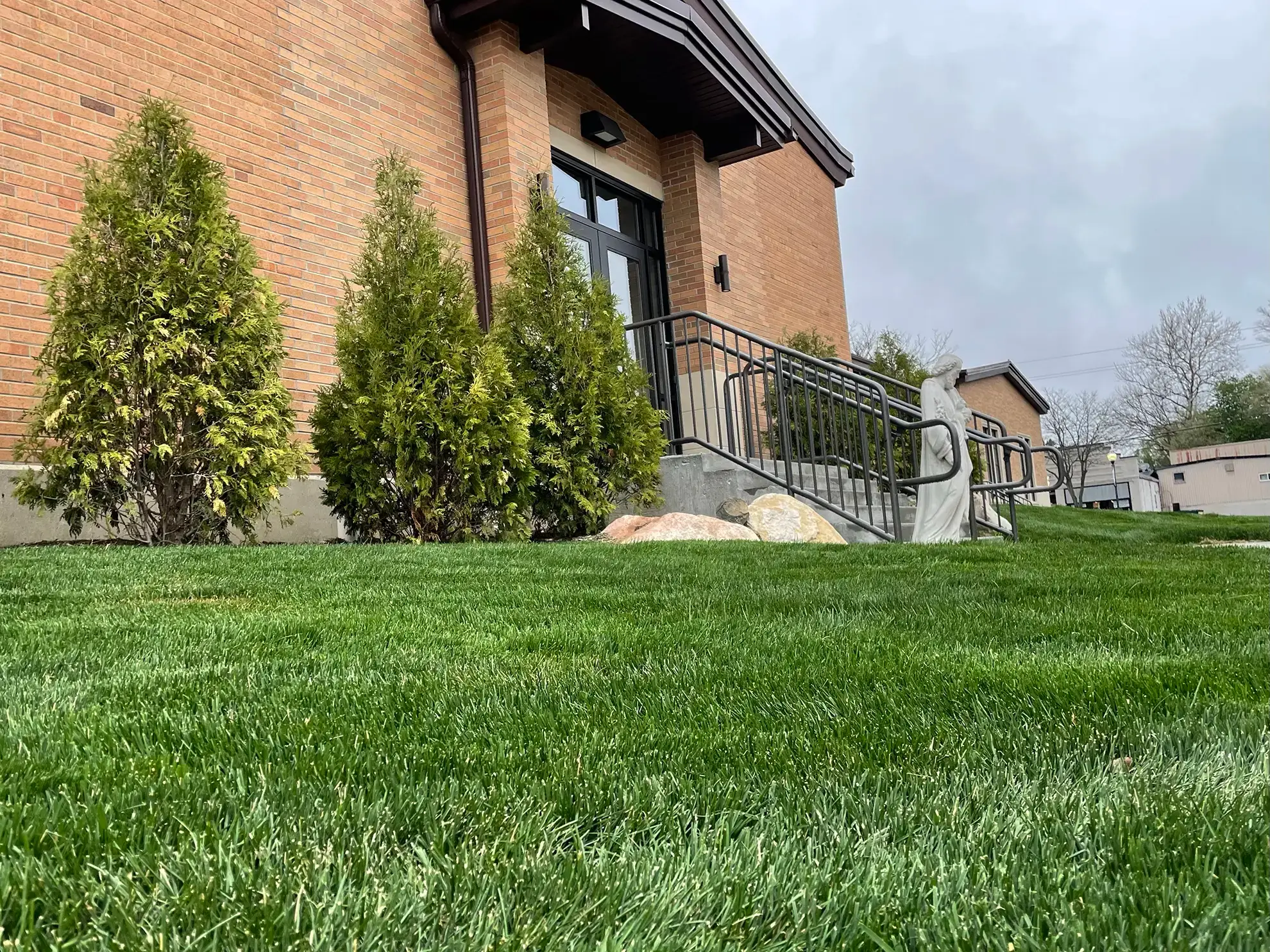 Landscape Sod for Commercial Developments
