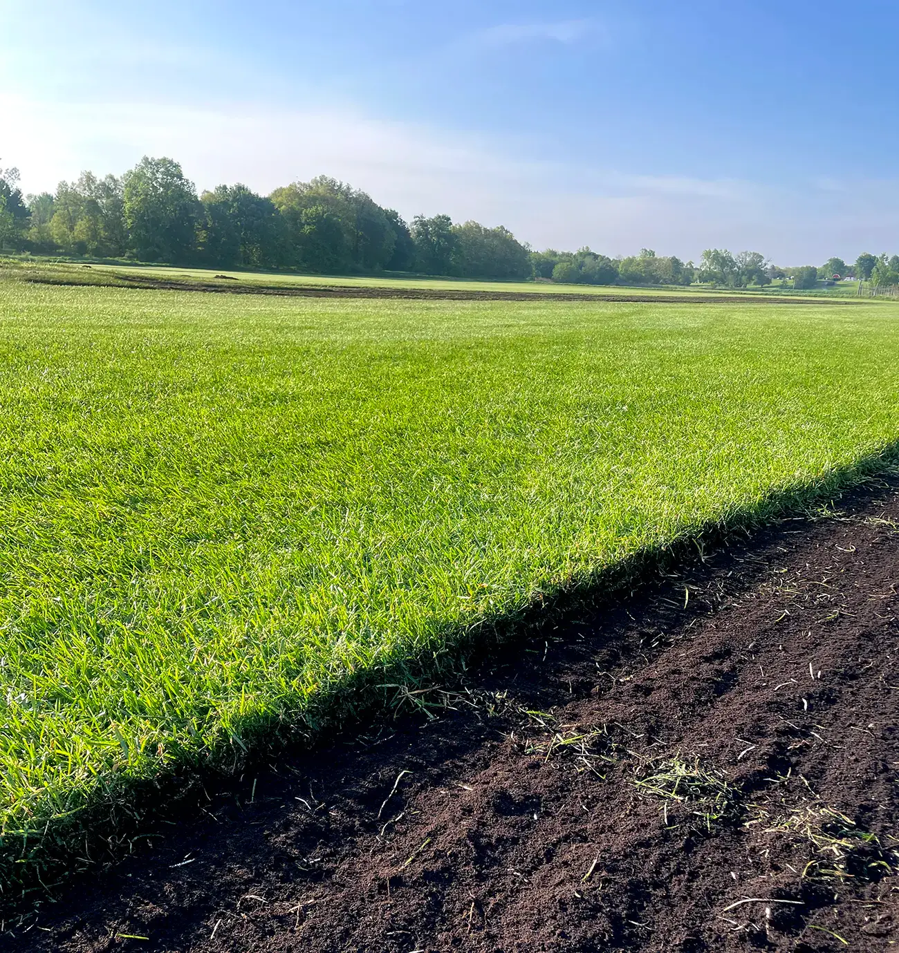 Michigan’s Leading Sod Farm Debuck's Davison Michigan