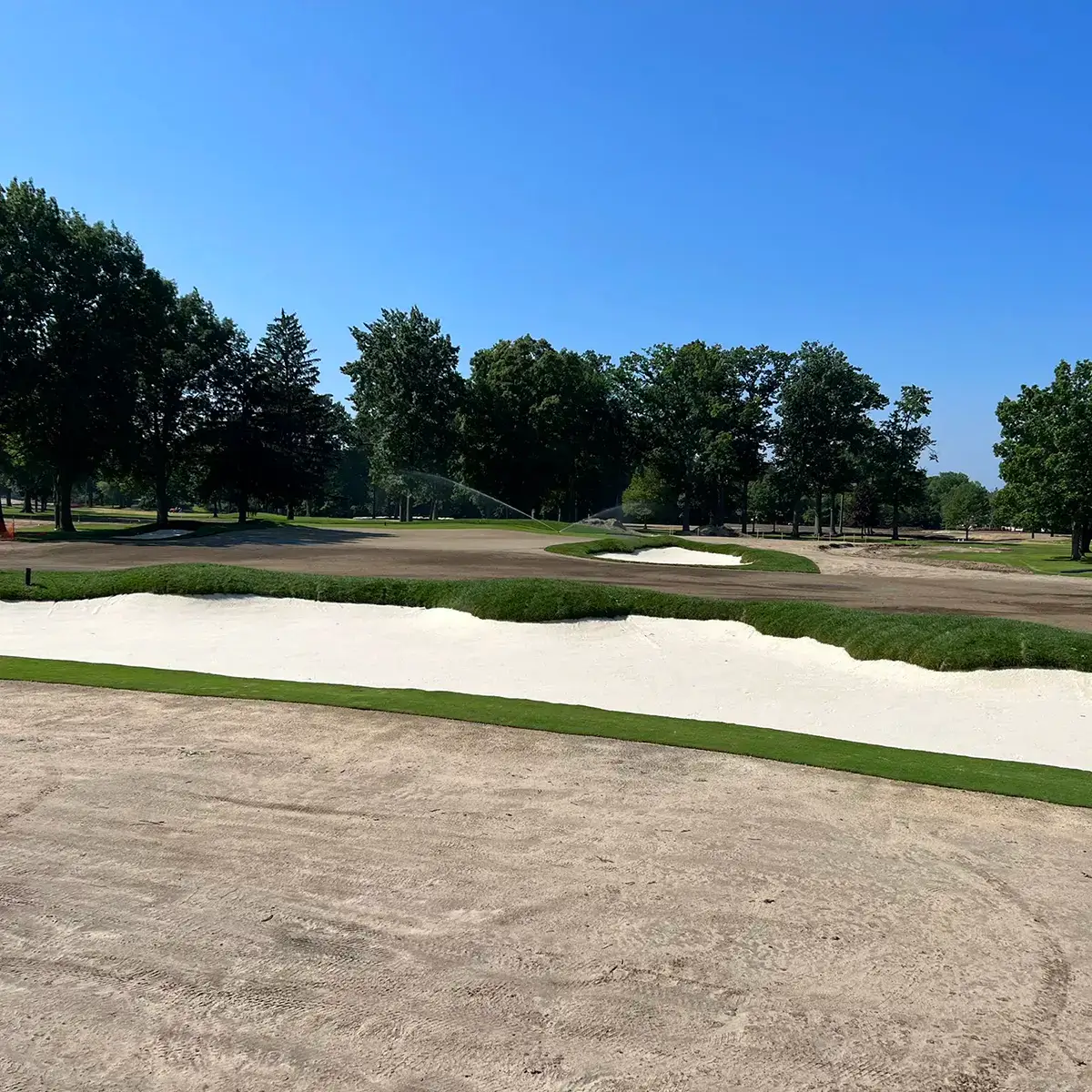 Best Sod for Michigan Golf Courses Rebuild sod on golf course near me