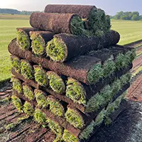 DeBucks Sod Farm Michigan's Best Sod